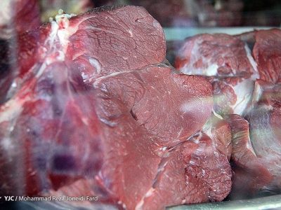 دامداران: دام ها روی دستمان مانده