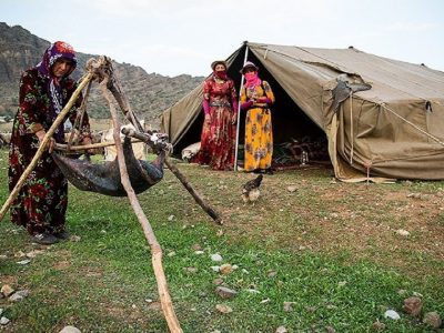 مجموع صادرات دام عشایر به ۲۲ هزار و ۵۰۰ راس رسید