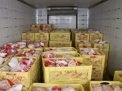 روزانه ۷ هزار تن مرغ در کشور توزیع میشود