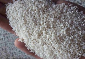 ۱۰۰ هزار تن برنج تنظیم بازار وارد شبکه مصرف می شود