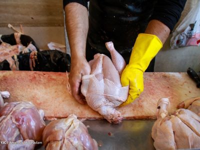 مرغ قطعه بندی، دست و پا شکسته نرخ گذاری شد!
