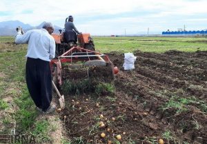 هدف اقتصاد مقاومتی افزایش درآمد سرانه کشاورزان است