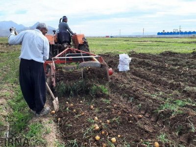 هدف اقتصاد مقاومتی افزایش درآمد سرانه کشاورزان است