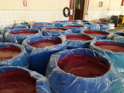 جنوب کرمان با راهاندازی ۱۴ کارخانه برنامه جهش تولید ربگوجه را کلید زد