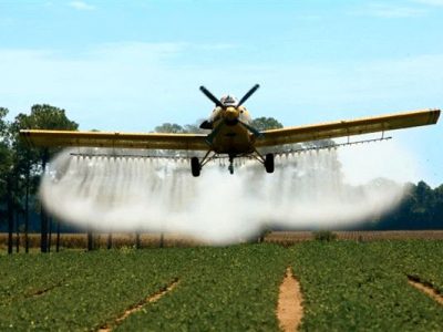 مبارزه در سطحی بالغ‌بر ۸۰ هزار هکتار با ملخ صحرایی برای سال آینده/اجرای ۴ برابری سطح مبارزه با ملخ صحرایی نسبت به سال ۱۴۰۰