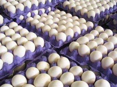 کویت واردات مرغ و تخم مرغ ایران را ممنوع کرد