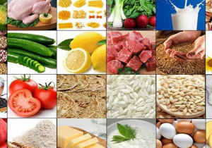 تامین غذا، از مصادیق بارز استقلال است