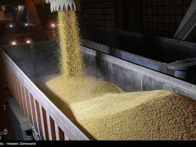 پیشنهاداتی برای جلوگیری از انتقال بحران جهانی غلات به ایران