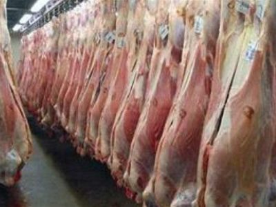 دستور واردات سریع ۱۰هزار تن گوشت گرم گوسفندی برای تنظیم بازار شب عید