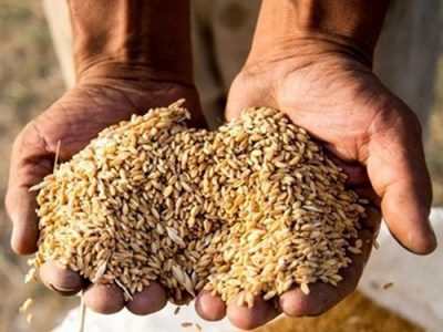 افزایش قیمت جهانی کالاهای اساسی تحت تاثیر مناقشات روسیه و اوکراین‌