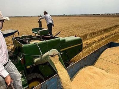 عقب نشینی کالاهای اساسی از اوج قیمت ها در چهاردهمین روز تحولات اوکراین و روسیه