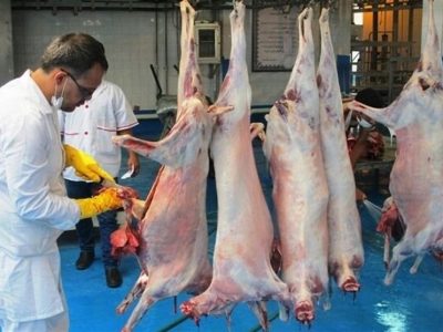 کشتارگاه های دام و طیور تعطیل نیستند