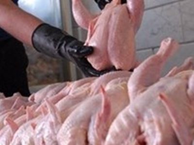 برگزاری مانور اجرای طرح ملی تشدید کنترل و نظارت بهداشتی