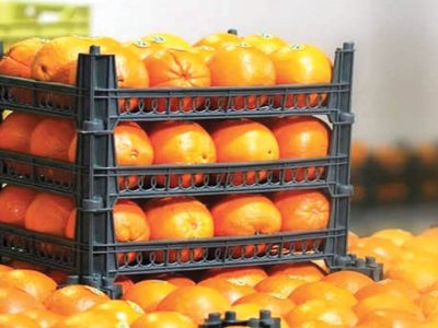 ذخیره سازی میوه در سردخانه ها، نوسان قیمت را کاهش می دهد