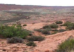 ایران سالانه ۱۶ میلیون تن فرسایش خاک دارد