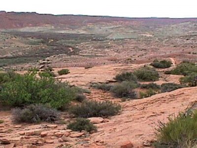 ایران سالانه ۱۶ میلیون تن فرسایش خاک دارد