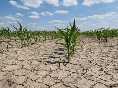 ۵۰ درصد دشت ها در معرض فرونشست هستند