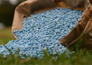 برنامه مصوب تامین کودهای یارانهای امسال ۱۰۰ درصد محقق شد