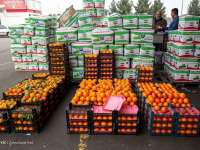 قیمت میوه‌های تنظیم بازاری شب عید اعلام شد