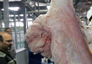 طرح تشدید کنترل نظارت بهداشتی ویژه نوروز در گیلان به اجرا درآمد