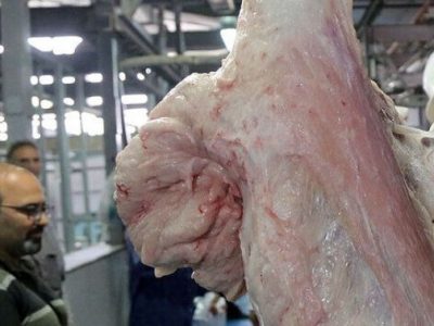 طرح تشدید کنترل نظارت بهداشتی ویژه نوروز در گیلان به اجرا درآمد