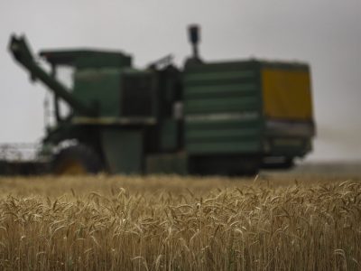 قیمت خرید تضمینی گندم تا پایان سال اصلاح می‌شود