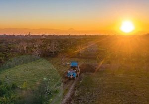 ۹۹۷ هزار هکتار از اراضی کشاوزی رفع تداخل شد