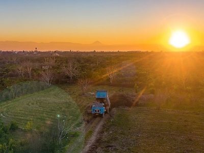 ۹۹۷ هزار هکتار از اراضی کشاوزی رفع تداخل شد