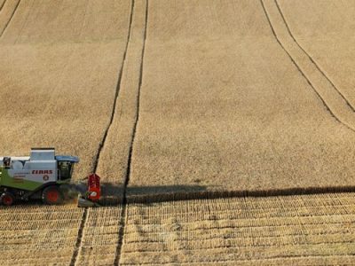 جریان قطع سوخت ۲۰۰۰ ‌کمباین‌ در این روزهای فصل برداشت گندم‌ چه بود‌