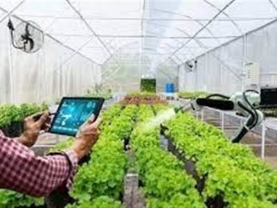 واردات کالای اساسی و نهاده‌ دام توسط بخش خصوصی مشروط شد