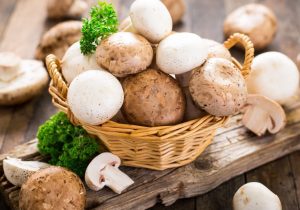 تولید قارچ به ۲۱۰ هزار تن می رسد