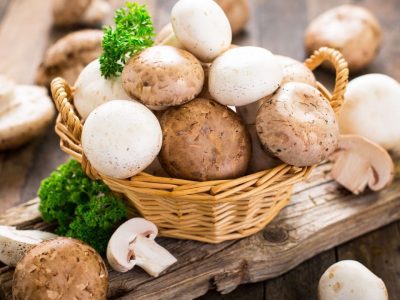 تولید قارچ به ۲۱۰ هزار تن می رسد