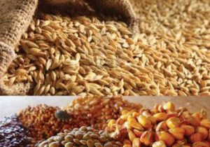 درخواست واردکنندگان نهاده‌های دامی برای رفع موانع واردات