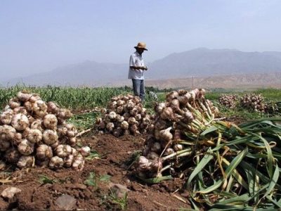 استفاده خارجیها از پژوهش محققان ایرانی در نتیجه بیتوجهیها