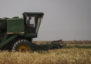 ۲ هزار و ۶۰۰ دستگاه کمباین‌ برای برداشت کلزا و گندم خوزستان بسیج شدند
