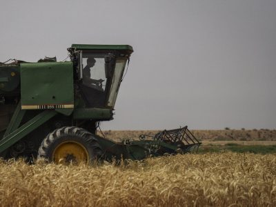 ۲ هزار و ۶۰۰ دستگاه کمباین برای برداشت کلزا و گندم خوزستان بسیج شدند