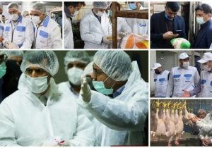 بیش از ۱۷۰هزار بازدید طی یک ماه اجرای طرح تشدید نظارت بهداشتی