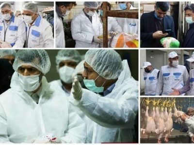 بیش از ۱۷۰هزار بازدید طی یک ماه اجرای طرح تشدید نظارت بهداشتی