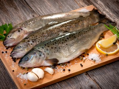 قیمت قزل آلا سر مزرعه به ۵۰ هزار تومان رسید