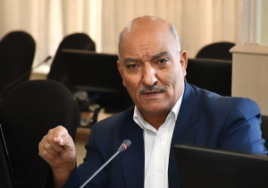 باران ببارد امسال ۸میلیون تن گندم تولید می‌کنیم/ امکان خودکفایی تولید گندم در سال آینده