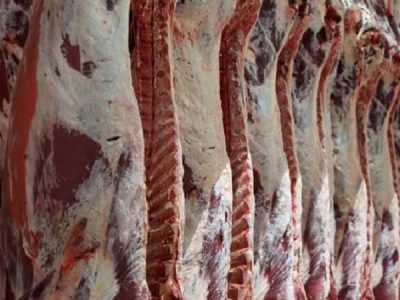 عرضه دام ۴۰ درصد افزایش یافت