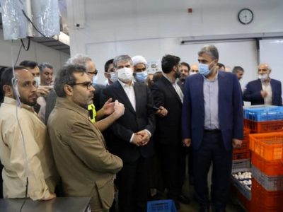 رفع عوارض صادراتی برخی از محصولات دامی