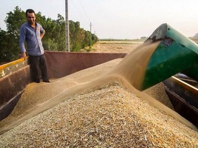 وزارت کشاورزی قیمت گندم مربوط به صنعت را تقریبا پنج برابر کرده / پیشبینی من این است که قیمت هر کیلو ماکارونی به ۳۲ تا ۳۶ هزار تومان برسد/ امسال باید ۲۰ میلیون تن واردات غلات داشته باشیم؛ هیچوقت تا این اندازه وابسته به واردات نبودهایم