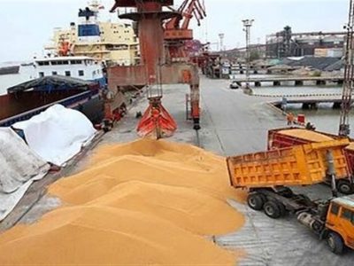 امروز آخرین مهلت تعیین تکلیف ثبت سفارش نهاده های دامی با ارز ۴۲۰۰