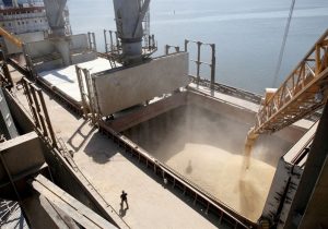 حمل‌ونقل گندم در کشور ۵۹ درصد افزایش یافت