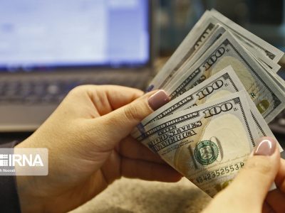 ارز ترجیحی مانع تحقق خودکفایی در برخی تولیدات شد