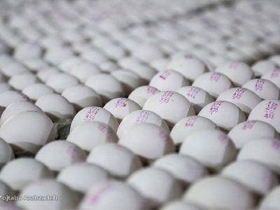 عرضه تخم مرغ ۱۰ هزار تومان کمتر از نرخ مصوب 