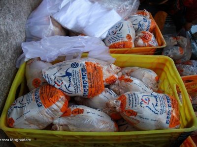 قیمت مرغ به ۴۵ هزار تومان کاهش یافت