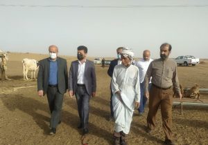 اولویت سازمان امور عشایر موضوع معیشت جامعه عشایری است