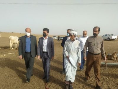 اولویت سازمان امور عشایر موضوع معیشت جامعه عشایری است